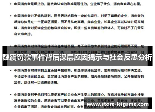 魏震罚款事件背后深层原因揭示与社会反思分析